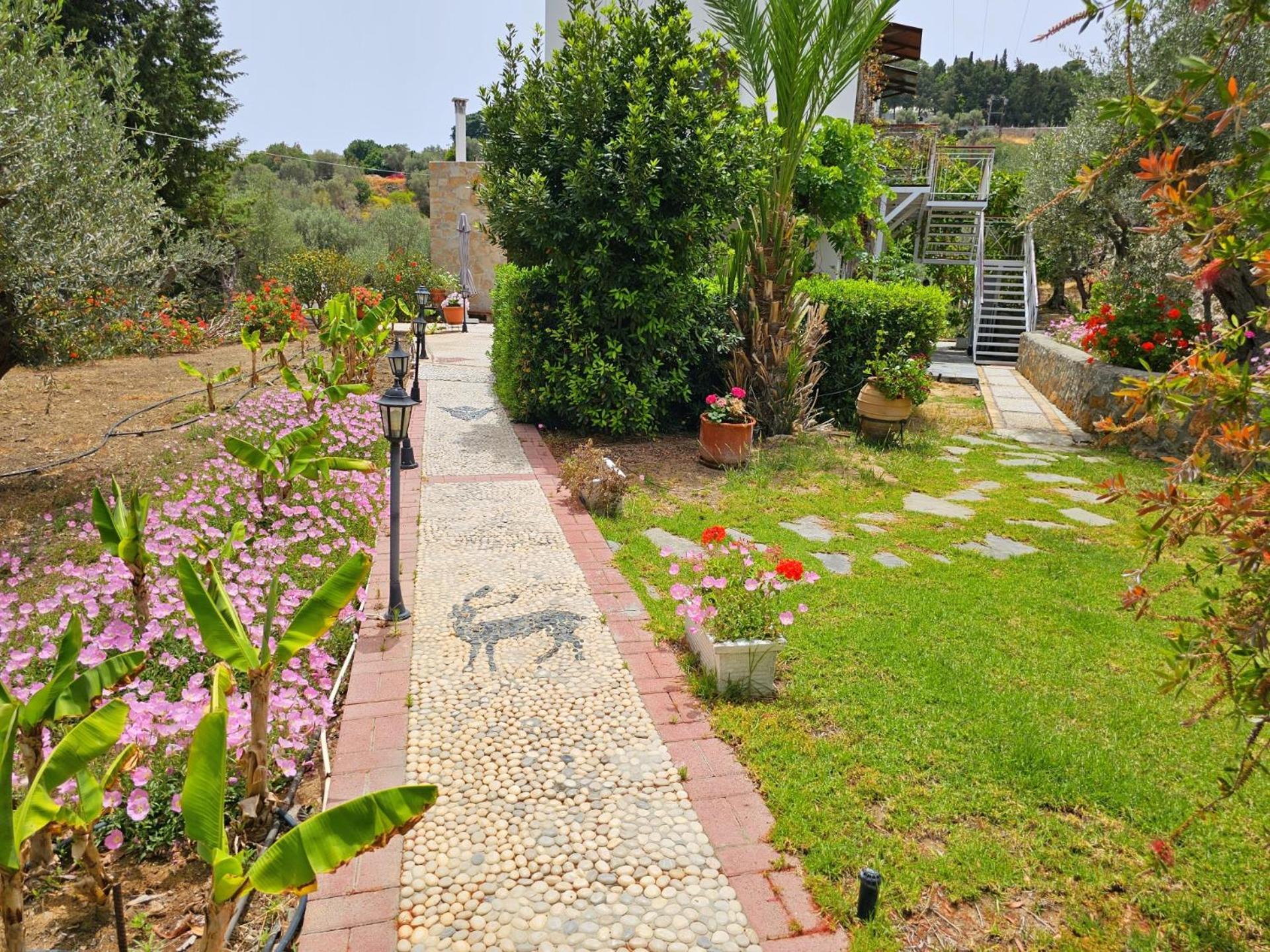 Galini View Apartments Lindos Exterior photo